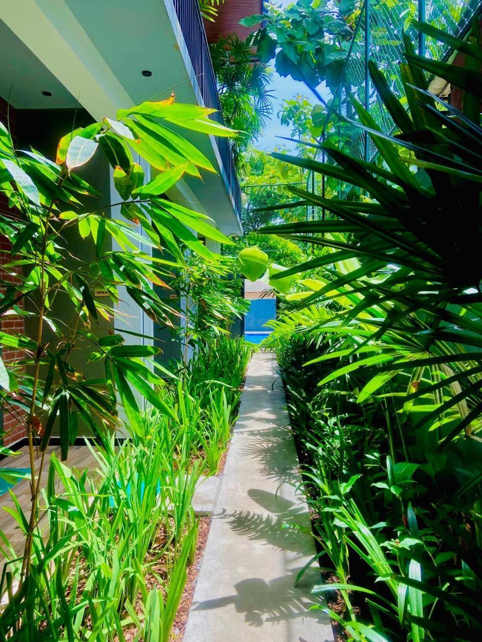 Hotel Coffee House Dambulla Extérieur photo