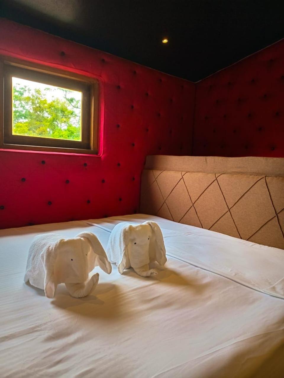Hotel Coffee House Dambulla Extérieur photo